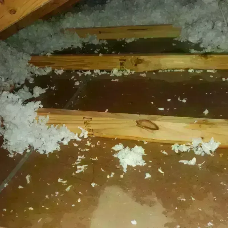 Attic Water Damage in Hubbard, OH