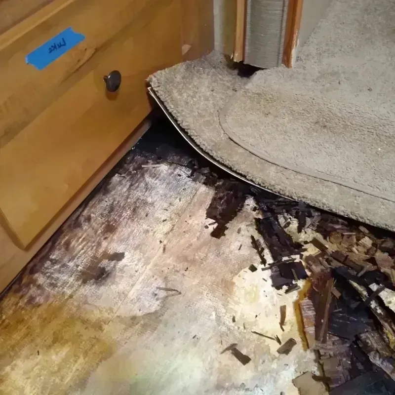 Best Wood Floor Water Damage Service in Hubbard, OH